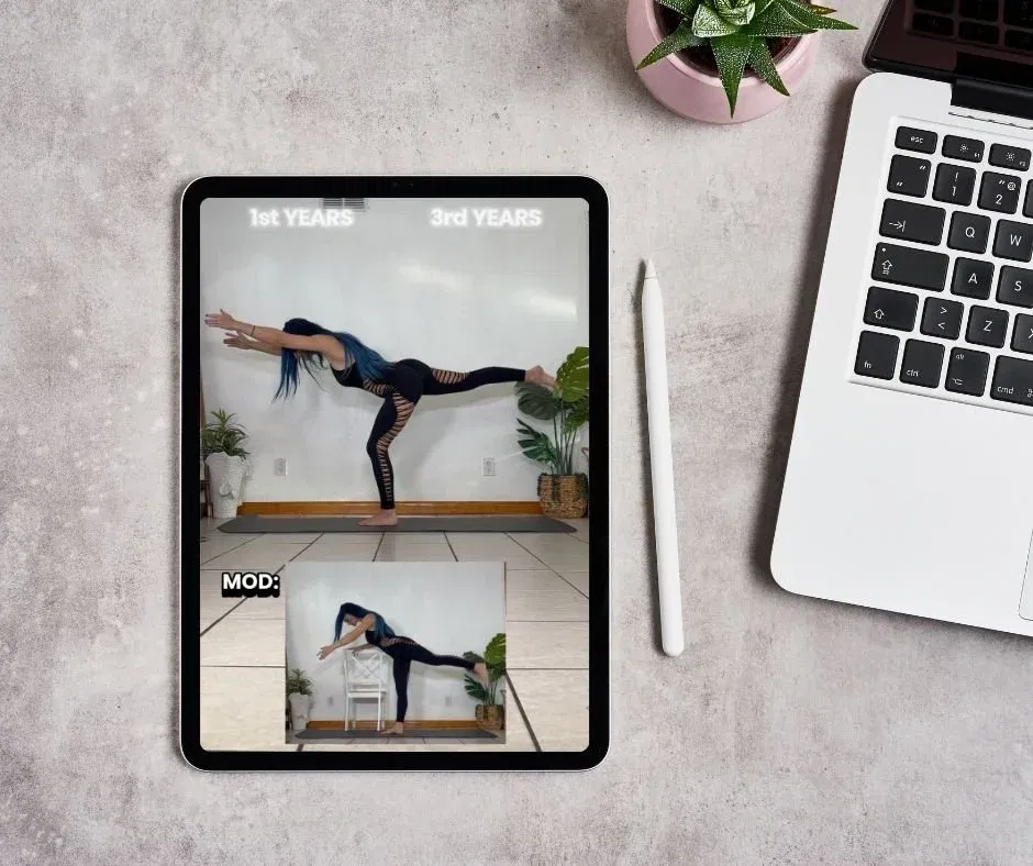 Assassin's Ascent Fitness Program